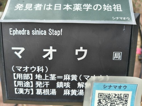IMG_20260827_133950114_HDR