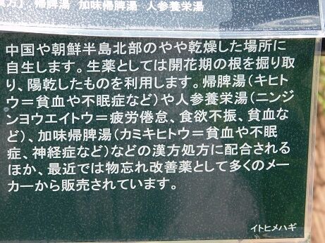 DSCN8492