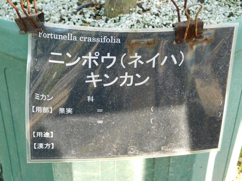 DSCN5480