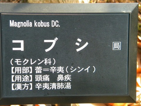 DSCN8526