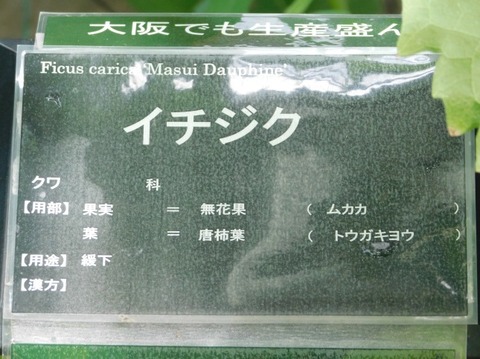 DSCN2612