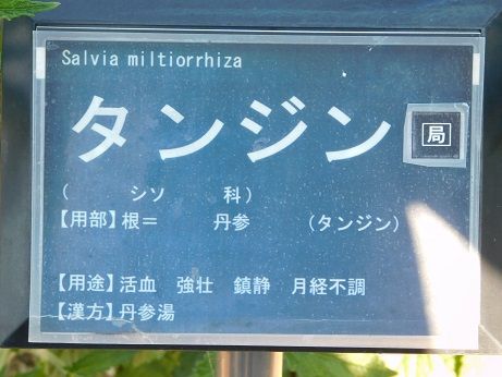 DSCN4821
