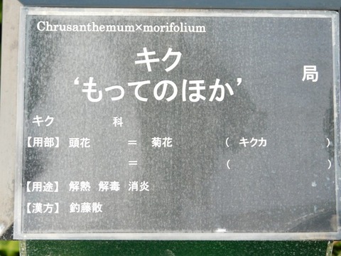 DSCN3045