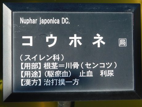 DSCN4797