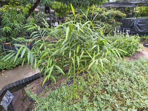 IMG_20260911_134916659_HDR