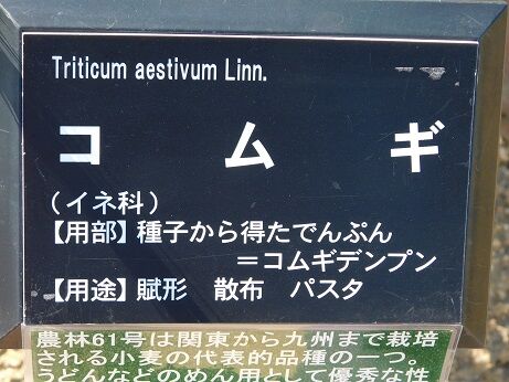 DSCN7203