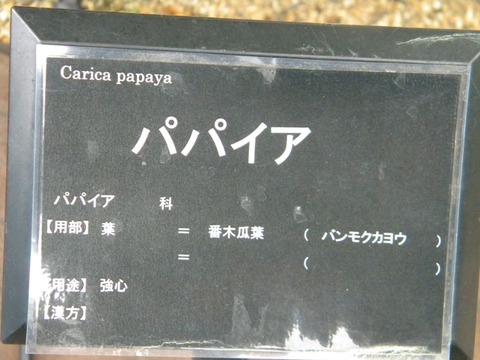 DSCN0017