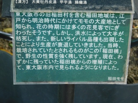 DSCN7169