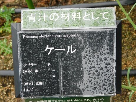 DSCN1483
