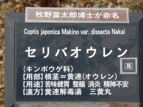 DSCN6224
