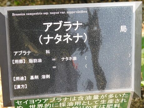 DSCN7153