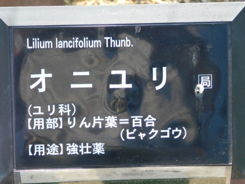 DSCN2190