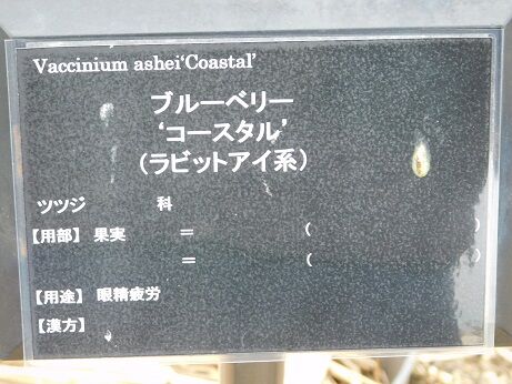 DSCN7256
