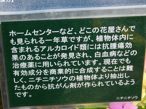 DSCN2369