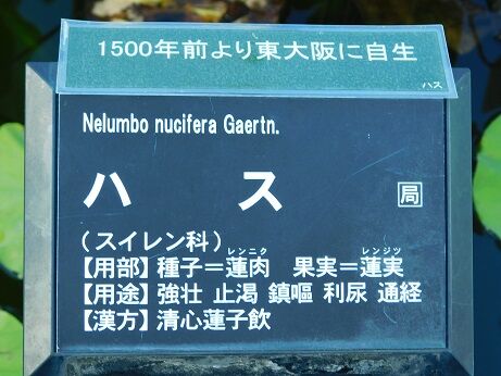 DSCN0063