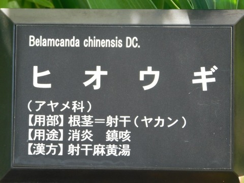DSCN7163