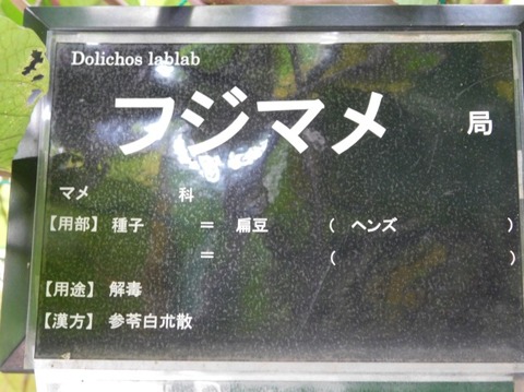 DSCN2669