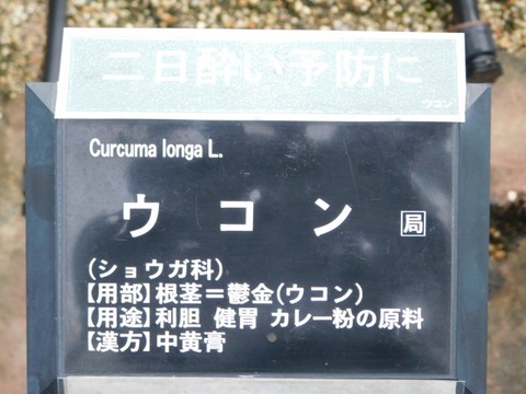 DSCN7480