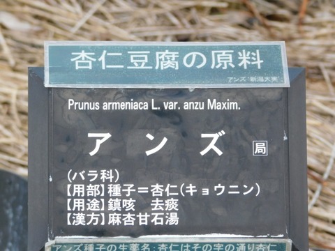 DSCN3555