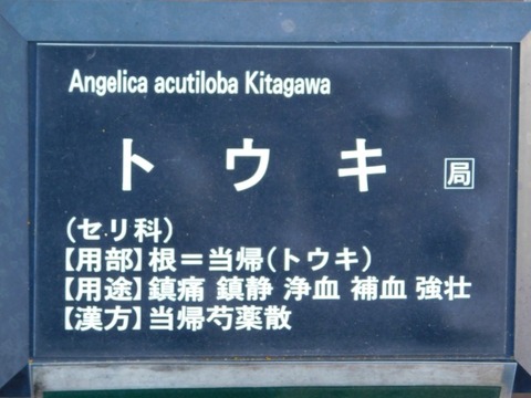 DSCN6701