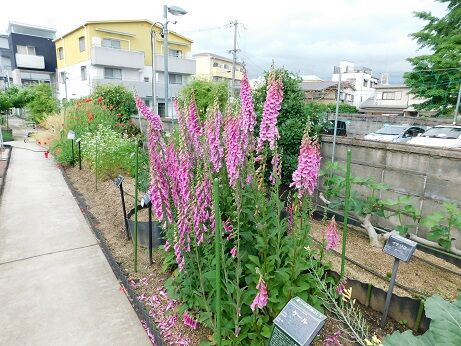 DSCN9547