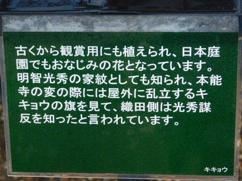 DSCN2398
