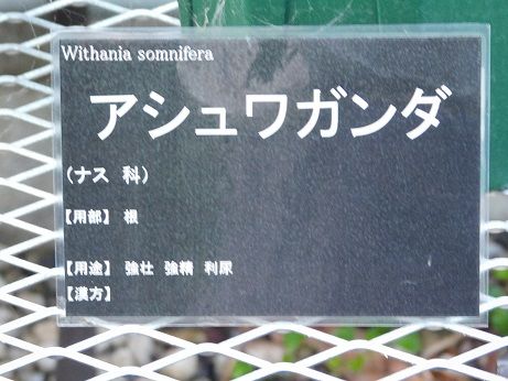 DSCN3310