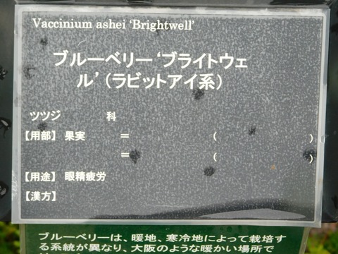 DSCN4396