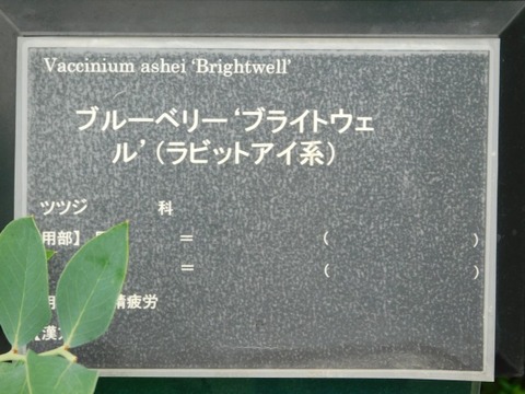DSCN7058