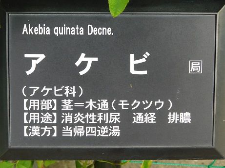DSCN3864