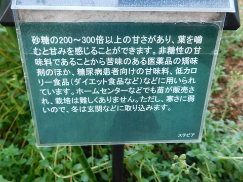 DSCN2734