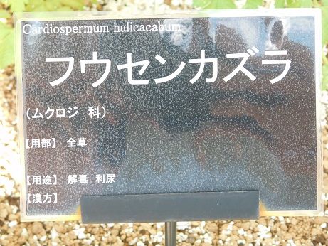 DSCN3609