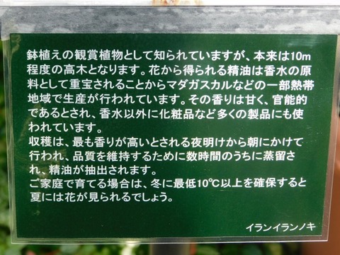 DSCN7230