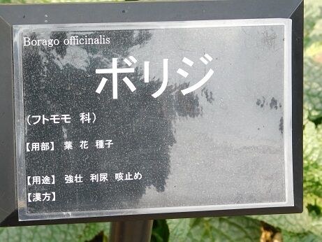 DSCN7046