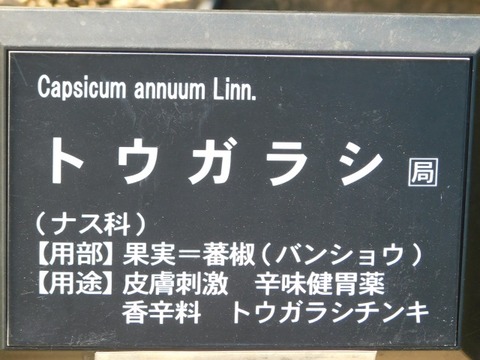 DSCN7439