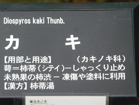 DSCN3857