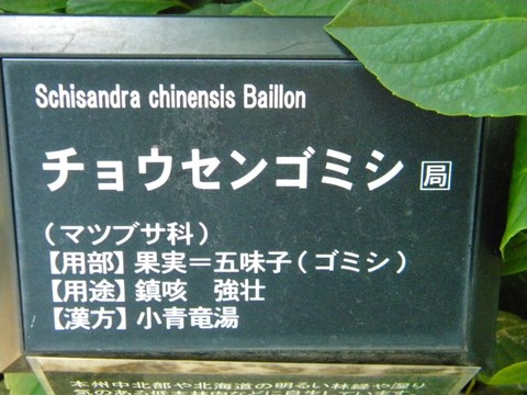 DSCN9460
