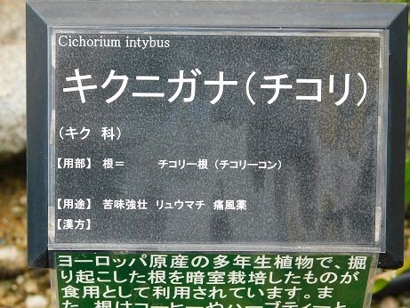 DSCN5759