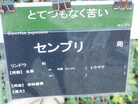 DSCN3174