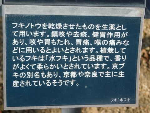 DSCN3342