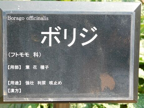 DSCN7143