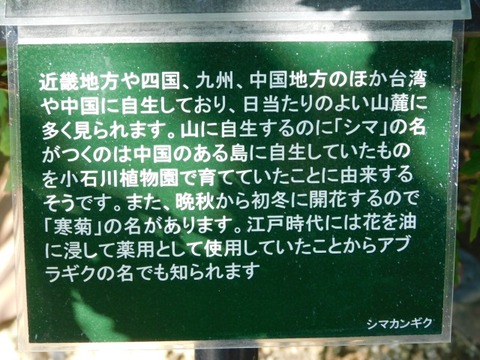 DSCN3100