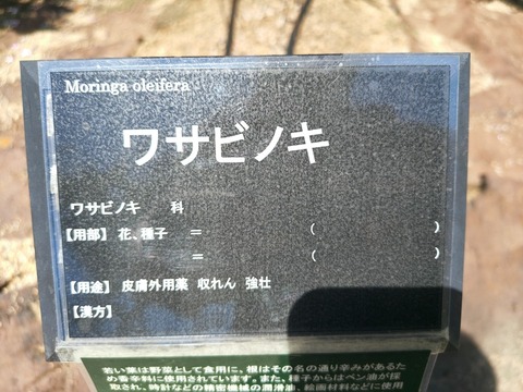 IMG_20260805_102432000_HDR