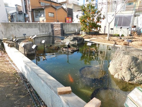 DSCN3546