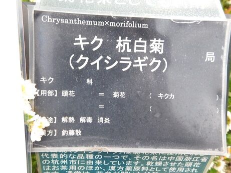 DSCN8860