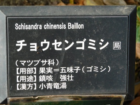 DSCN3325