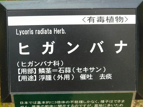 DSCN3819