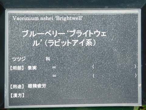 DSCN4198
