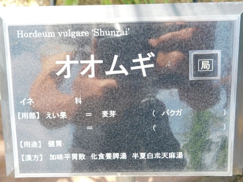 DSCN6654