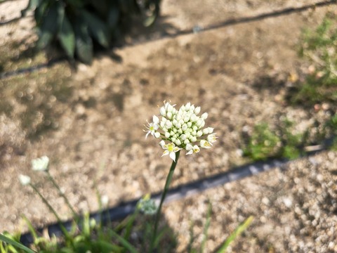 IMG_20260820_114847032_HDR